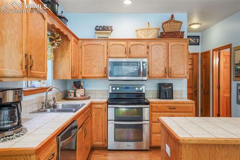 Tiny photo for 1185 Karen Lane, Woodland Park, CO 80863 (MLS # 8095565)