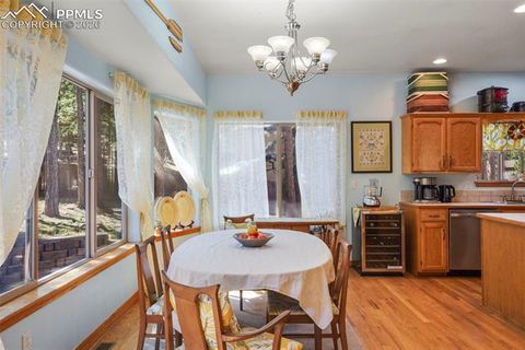 Tiny photo for 1185 Karen Lane, Woodland Park, CO 80863 (MLS # 8095565)