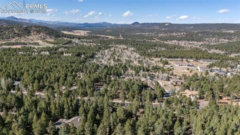 Tiny photo for 1185 Karen Lane, Woodland Park, CO 80863 (MLS # 8095565)