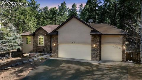 Tiny photo for 1185 Karen Lane, Woodland Park, CO 80863 (MLS # 8095565)