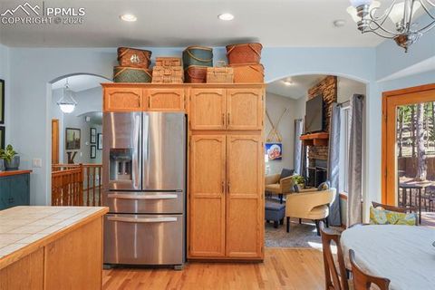 Tiny photo for 1185 Karen Lane, Woodland Park, CO 80863 (MLS # 8095565)