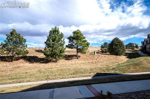 Tiny photo for 1316 Walters Point, Monument, CO 80132 (MLS # 2300441)