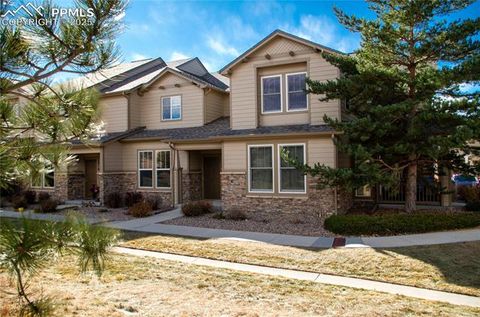 Photo of 1316 Walters Point, Monument, CO 80132 (MLS # 2300441)