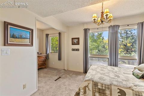 Tiny photo for 1051 Forest Hill Road, Woodland Park, CO 80863 (MLS # 8451307)