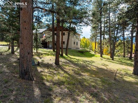 Tiny photo for 1051 Forest Hill Road, Woodland Park, CO 80863 (MLS # 8451307)
