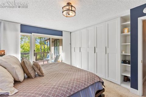 Tiny photo for 1051 Forest Hill Road, Woodland Park, CO 80863 (MLS # 8451307)