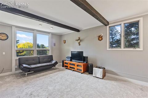 Tiny photo for 1051 Forest Hill Road, Woodland Park, CO 80863 (MLS # 8451307)