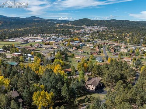 Tiny photo for 1051 Forest Hill Road, Woodland Park, CO 80863 (MLS # 8451307)