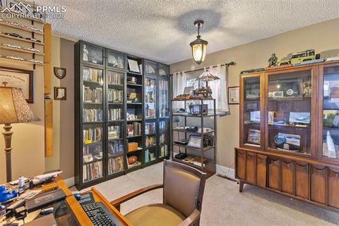 Tiny photo for 1051 Forest Hill Road, Woodland Park, CO 80863 (MLS # 8451307)