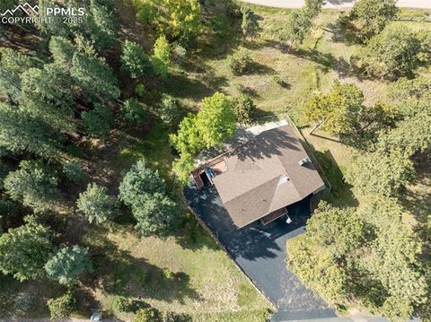 Tiny photo for 1051 Forest Hill Road, Woodland Park, CO 80863 (MLS # 8451307)