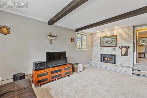 Tiny photo for 1051 Forest Hill Road, Woodland Park, CO 80863 (MLS # 8451307)