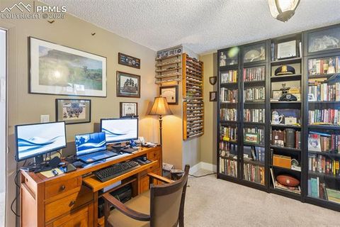 Tiny photo for 1051 Forest Hill Road, Woodland Park, CO 80863 (MLS # 8451307)