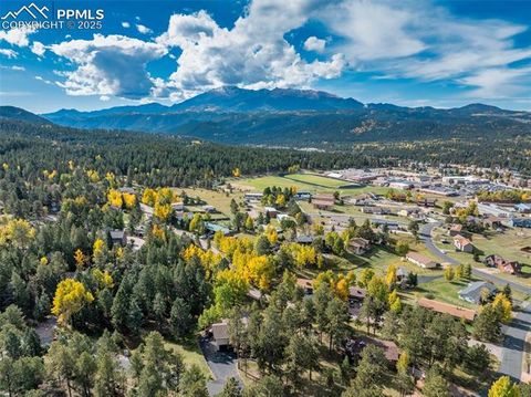 Tiny photo for 1051 Forest Hill Road, Woodland Park, CO 80863 (MLS # 8451307)