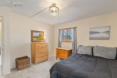 Tiny photo for 1051 Forest Hill Road, Woodland Park, CO 80863 (MLS # 8451307)