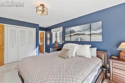 Tiny photo for 1051 Forest Hill Road, Woodland Park, CO 80863 (MLS # 8451307)