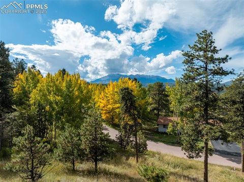 Tiny photo for 1051 Forest Hill Road, Woodland Park, CO 80863 (MLS # 8451307)