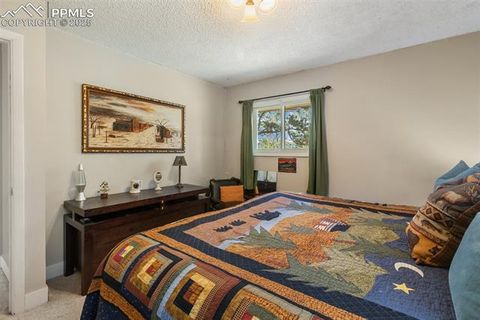 Tiny photo for 1051 Forest Hill Road, Woodland Park, CO 80863 (MLS # 8451307)
