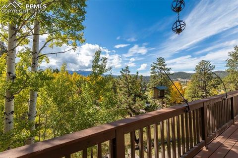 Tiny photo for 1051 Forest Hill Road, Woodland Park, CO 80863 (MLS # 8451307)