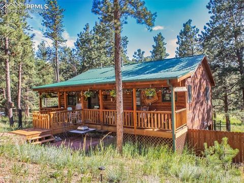 Tiny photo for 290 N Mountain Estates Road, Florissant, CO 80816 (MLS # 9125528)