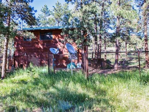 Tiny photo for 290 N Mountain Estates Road, Florissant, CO 80816 (MLS # 9125528)