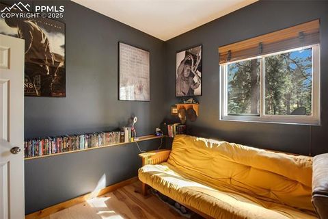 Tiny photo for 290 N Mountain Estates Road, Florissant, CO 80816 (MLS # 9125528)