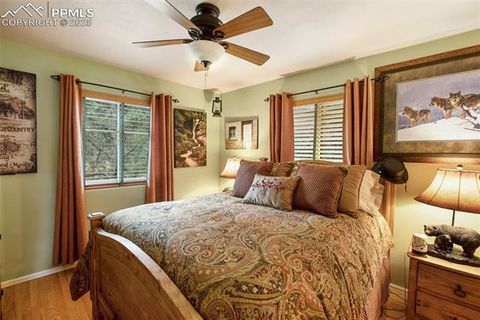 Tiny photo for 290 N Mountain Estates Road, Florissant, CO 80816 (MLS # 9125528)