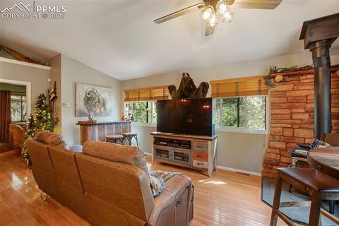 Tiny photo for 290 N Mountain Estates Road, Florissant, CO 80816 (MLS # 9125528)