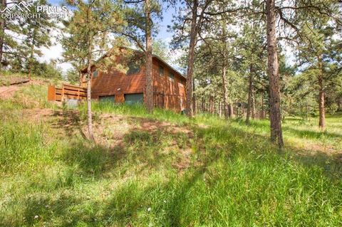 Tiny photo for 290 N Mountain Estates Road, Florissant, CO 80816 (MLS # 9125528)
