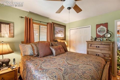 Tiny photo for 290 N Mountain Estates Road, Florissant, CO 80816 (MLS # 9125528)
