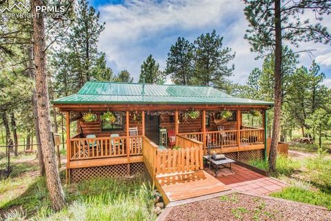 Photo of 290 N Mountain Estates Road, Florissant, CO 80816 (MLS # 9125528)