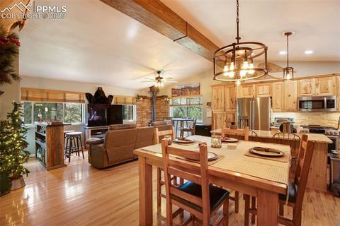 Tiny photo for 290 N Mountain Estates Road, Florissant, CO 80816 (MLS # 9125528)