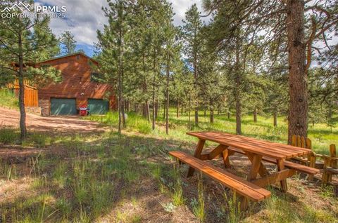 Tiny photo for 290 N Mountain Estates Road, Florissant, CO 80816 (MLS # 9125528)