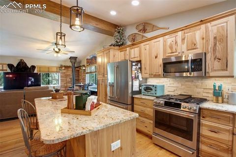 Tiny photo for 290 N Mountain Estates Road, Florissant, CO 80816 (MLS # 9125528)