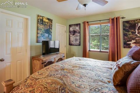 Tiny photo for 290 N Mountain Estates Road, Florissant, CO 80816 (MLS # 9125528)