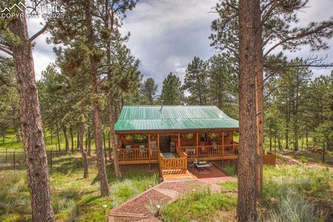 Tiny photo for 290 N Mountain Estates Road, Florissant, CO 80816 (MLS # 9125528)