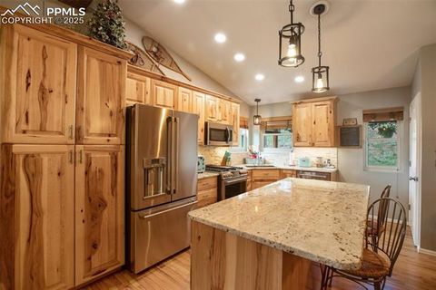 Tiny photo for 290 N Mountain Estates Road, Florissant, CO 80816 (MLS # 9125528)