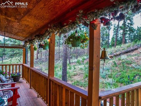 Tiny photo for 290 N Mountain Estates Road, Florissant, CO 80816 (MLS # 9125528)