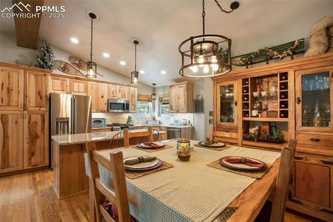 Tiny photo for 290 N Mountain Estates Road, Florissant, CO 80816 (MLS # 9125528)