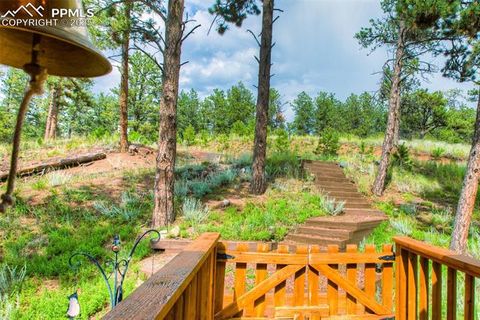 Tiny photo for 290 N Mountain Estates Road, Florissant, CO 80816 (MLS # 9125528)
