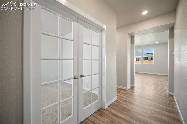 9334 Kitten Tail Court