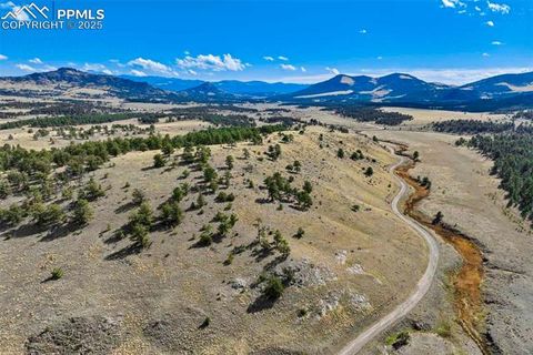 Photo of 455 County Road 132, Guffey, CO 80820 (MLS # 8845806)