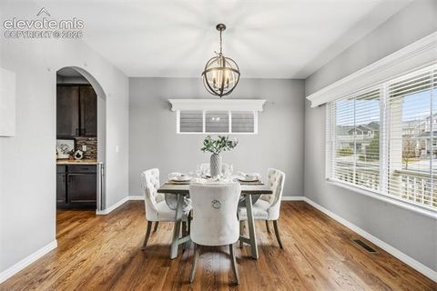 Tiny photo for 9632 Emerald Vista Drive, Peyton, CO 80831 (MLS # 1159638)