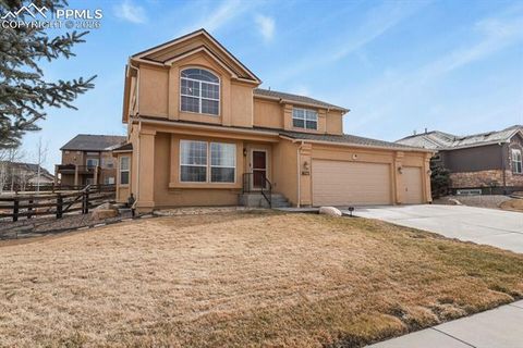 Photo of 16273 Windsor Creek Drive, Monument, CO 80132 (MLS # 9221750)