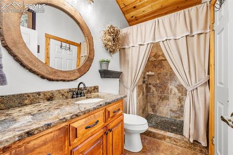 Tiny photo for 1366 Vagabond Creek Drive, Lake George, CO 80827 (MLS # 3097370)