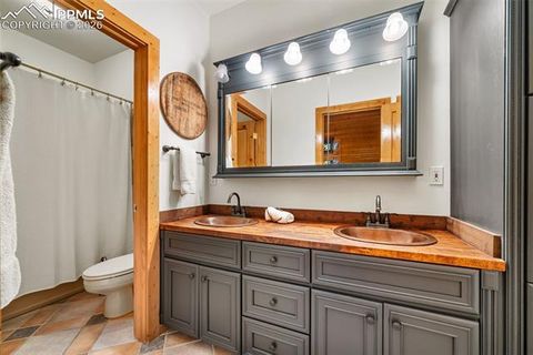 Tiny photo for 1366 Vagabond Creek Drive, Lake George, CO 80827 (MLS # 3097370)