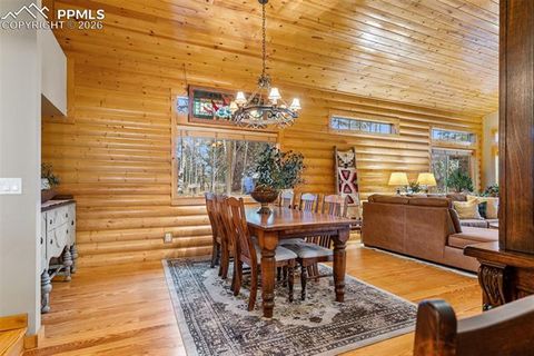 Tiny photo for 1366 Vagabond Creek Drive, Lake George, CO 80827 (MLS # 3097370)