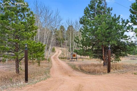 Tiny photo for 1366 Vagabond Creek Drive, Lake George, CO 80827 (MLS # 3097370)