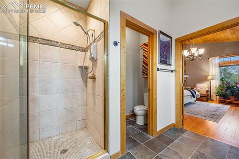 Tiny photo for 1366 Vagabond Creek Drive, Lake George, CO 80827 (MLS # 3097370)