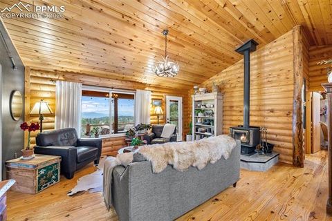 Tiny photo for 1366 Vagabond Creek Drive, Lake George, CO 80827 (MLS # 3097370)
