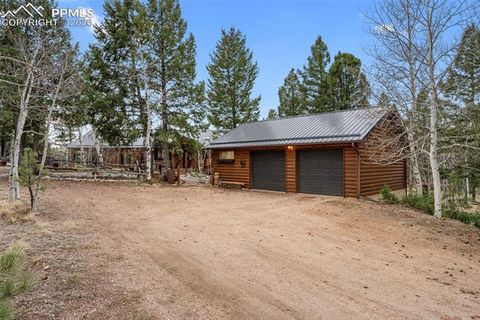 Tiny photo for 1366 Vagabond Creek Drive, Lake George, CO 80827 (MLS # 3097370)